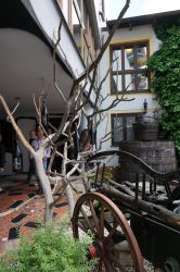 Wachau-2024-Donnerstag-044
