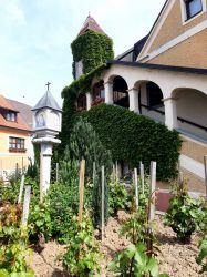Wachau-2024-Freitag-021
