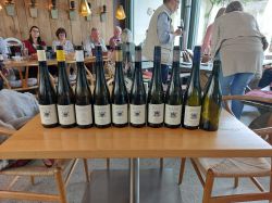 Wachau-2024-Freitag-030