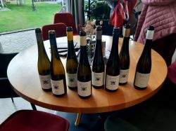 Wachau-2024-Freitag-031