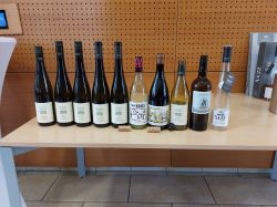Wachau-2024-Freitag-082