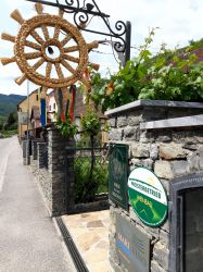 Wachau-2024-Samstag-014
