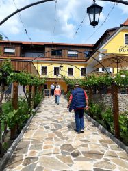 Wachau-2024-Samstag-017