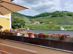 Wachau-2024-Samstag-021