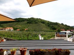 Wachau-2024-Samstag-022