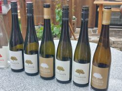 Wachau-2024-Samstag-031