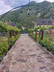 Wachau-2024-Samstag-035