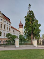 Wachau-2024-Samstag-059