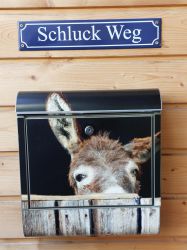 Wachau-2024-Sonntag-004