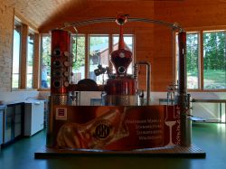 Wachau-2024-Sonntag-008