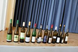 Degustation-2025-24
