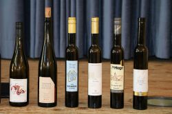 Degustation-2025-42