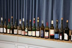 Degustation-2025-43